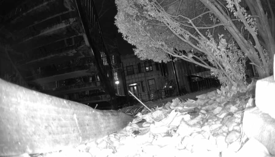 Reolink Camera Two_01_Reolink Home Hub One_20250111191424.jpg